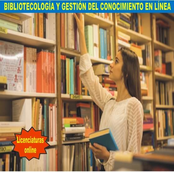 BIBLIOTECOLOGÍA Y GESTIÓN DEL CONOCIMIENTO EN LÍNEA