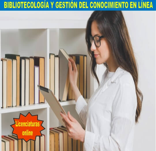 BIBLIOTECOLOGÍA Y GESTIÓN DEL CONOCIMIENTO EN LÍNEA